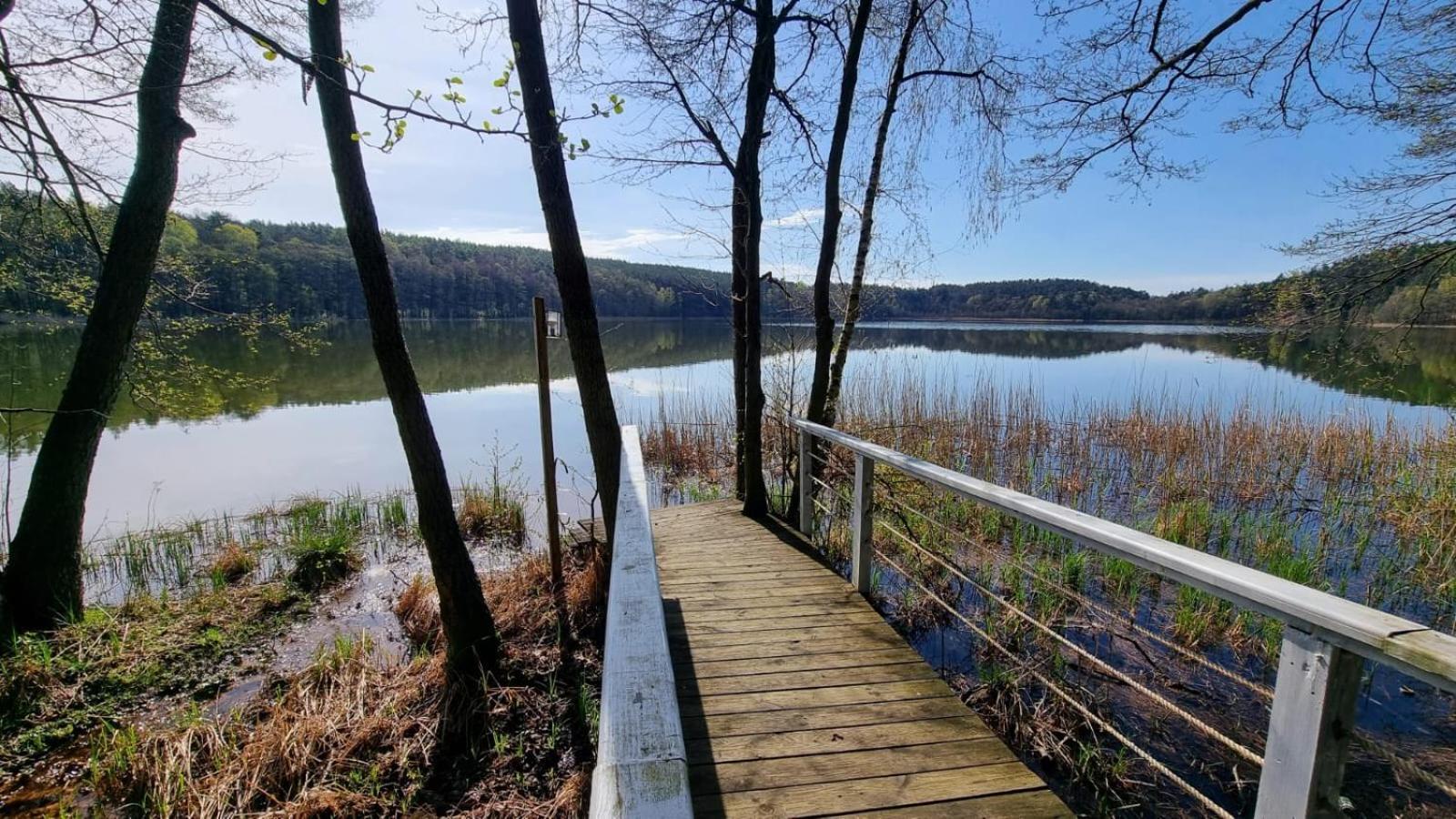 Osrodek La La Las - Domki Letniskowe W Lesie Nad Jeziorem Bytnica Luaran gambar
